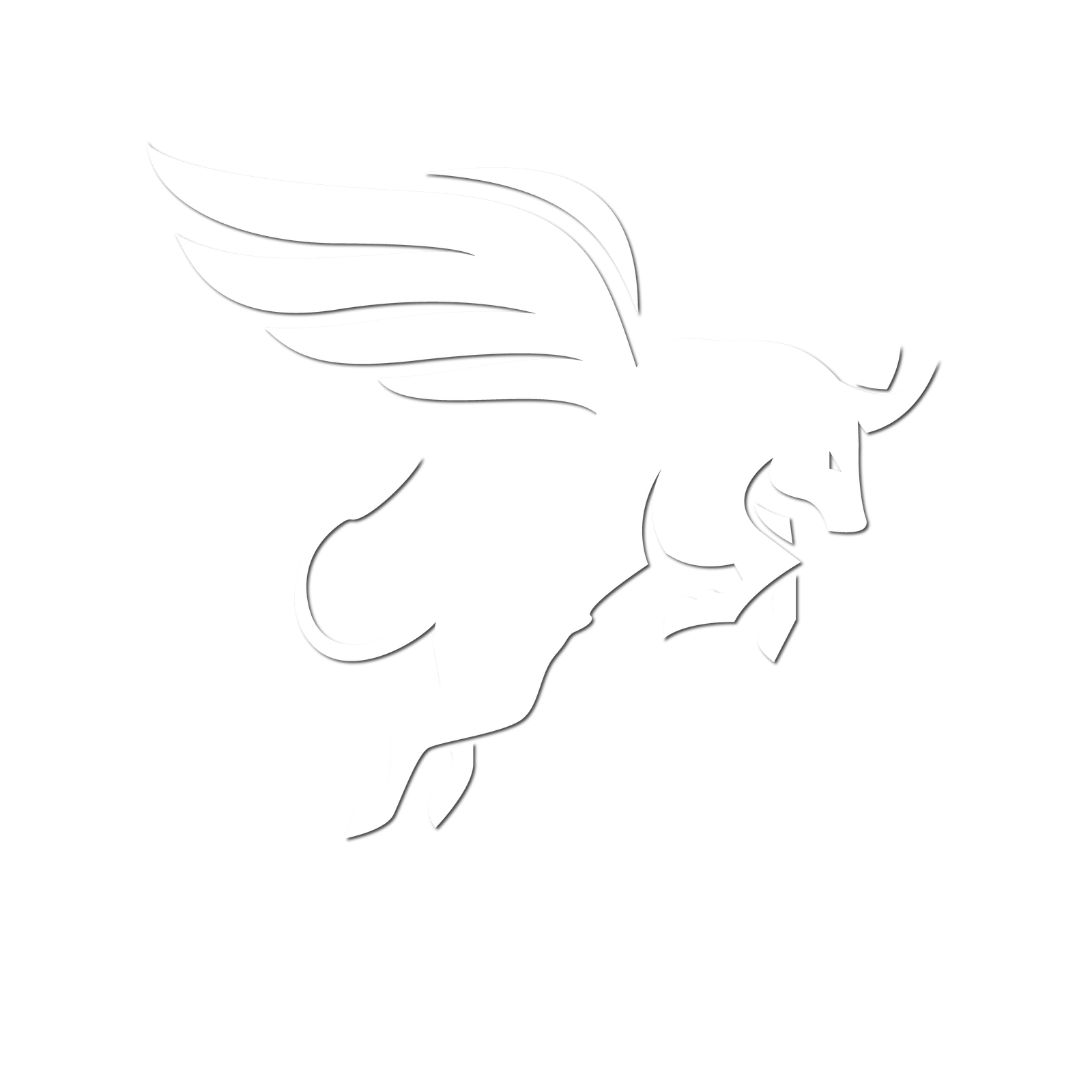 Trading Swap